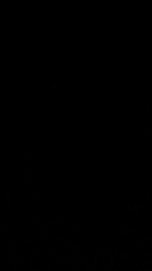 A74bb9c97ef734f28885bc70d67e076f81.jpg